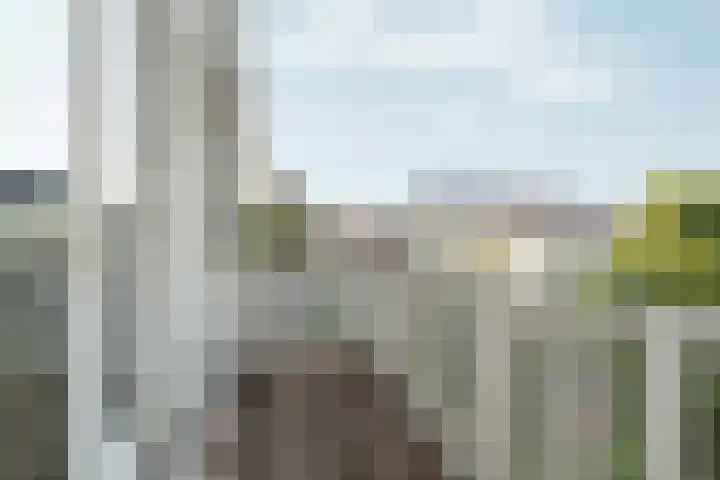 Eerste Nassaustraat 8 3 Amsterdam thumbnail 17