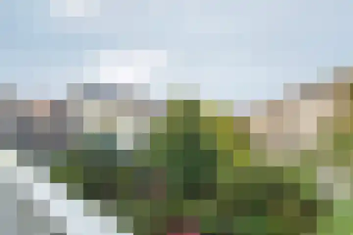 Eerste Nassaustraat 8 3 Amsterdam thumbnail 18