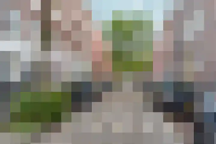 Eerste Nassaustraat 8 3 Amsterdam thumbnail 44