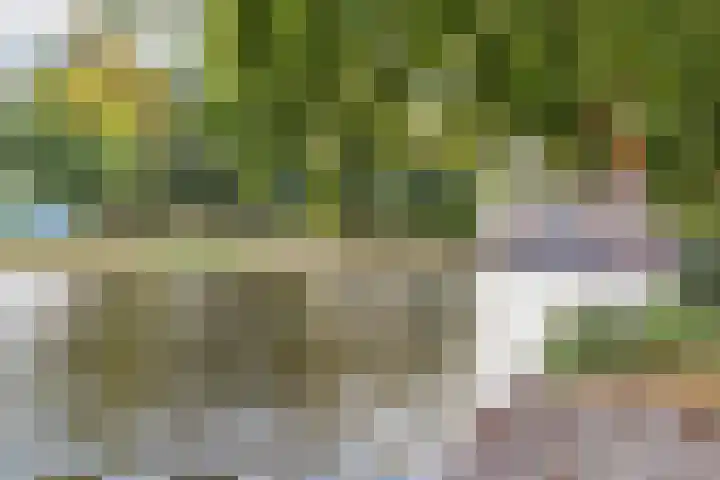 Eerste Nassaustraat 8 3 Amsterdam thumbnail 47
