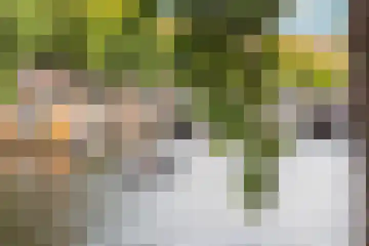 Eerste Nassaustraat 8 3 Amsterdam thumbnail 49