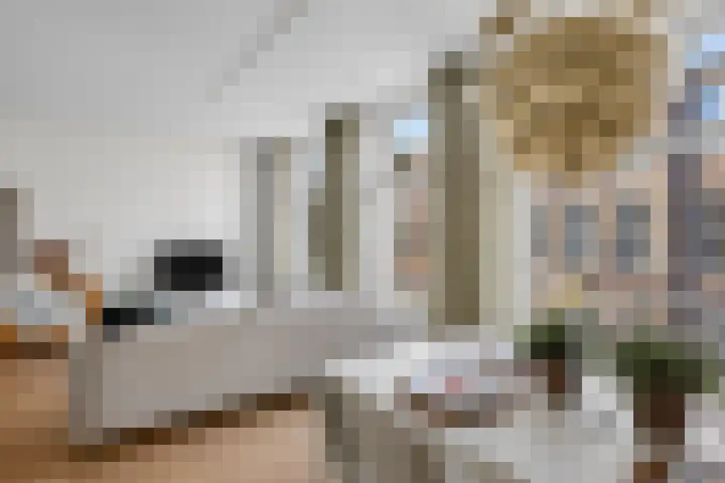 Eerste Nassaustraat 8 H Amsterdam thumbnail 11