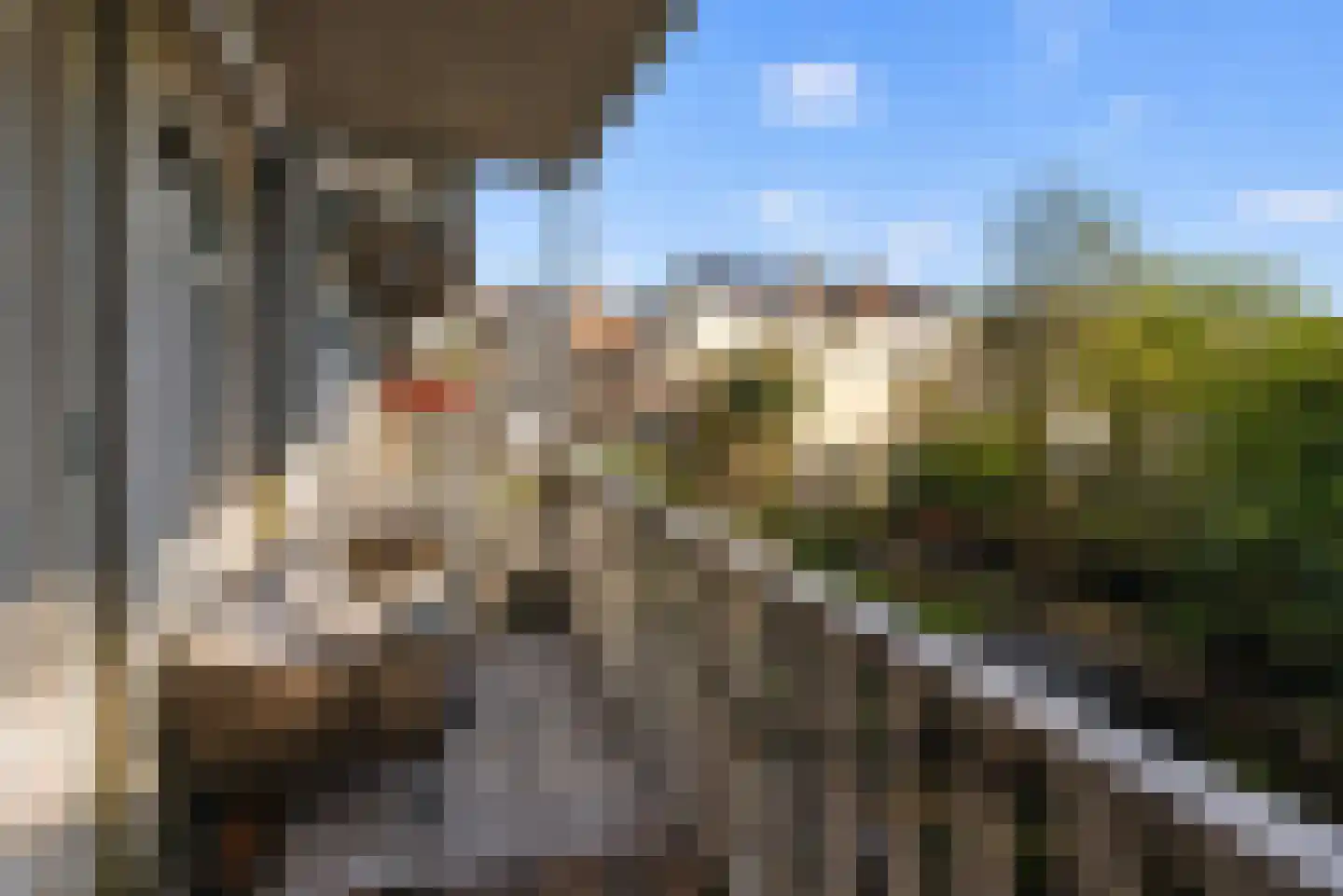 Eerste Nassaustraat 8 H Amsterdam thumbnail 32