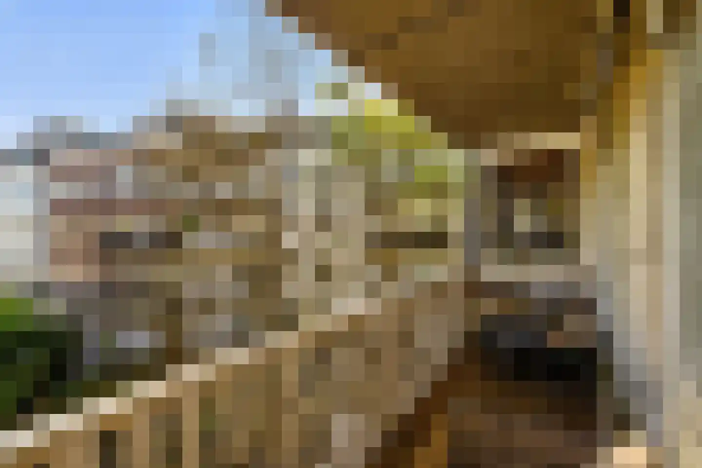 Eerste Nassaustraat 8 H Amsterdam thumbnail 33