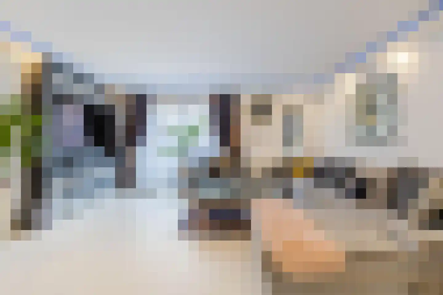 Eerste Oosterparklaan 124 Utrecht thumbnail 10