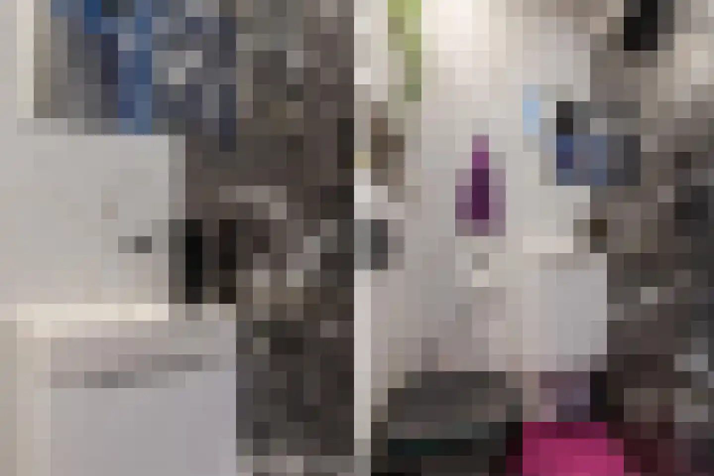 Eerste Oosterparklaan 124 Utrecht thumbnail 24