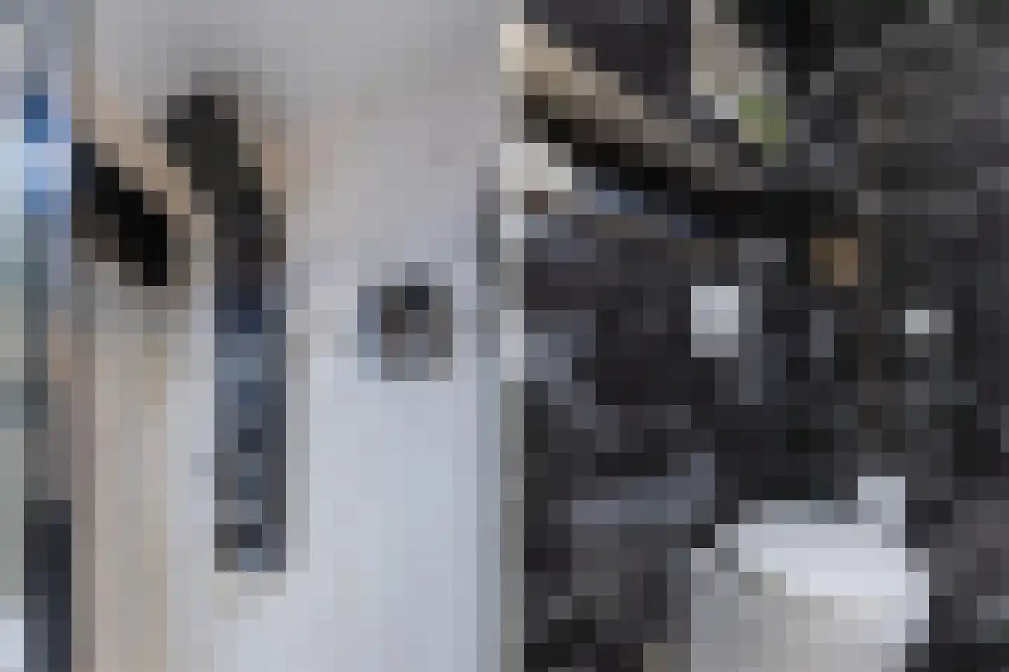 Eerste Oosterparklaan 124 Utrecht thumbnail 38