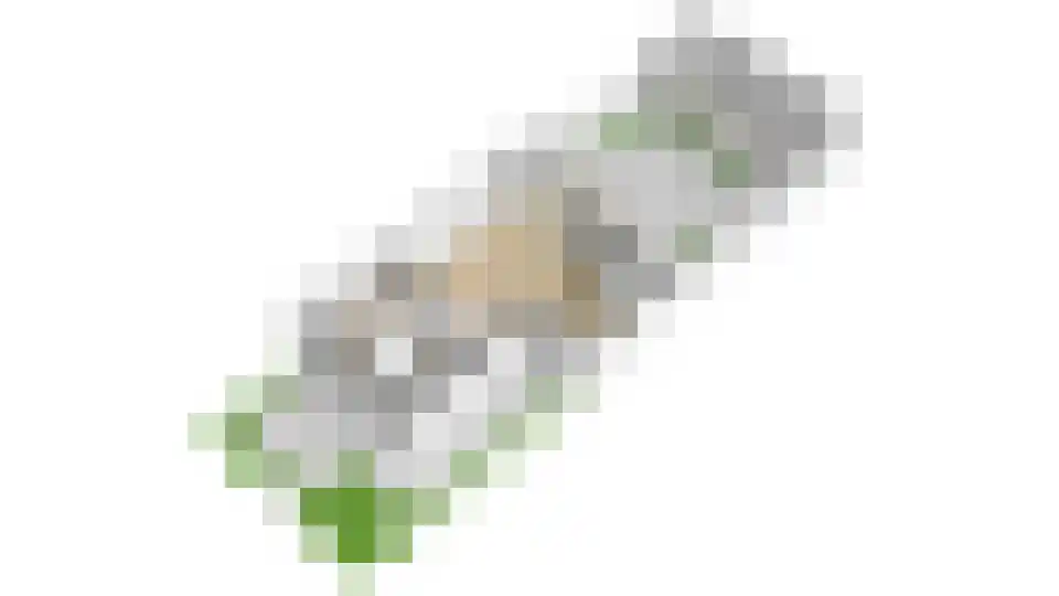 Eerste Oosterparklaan 138 Utrecht thumbnail 64