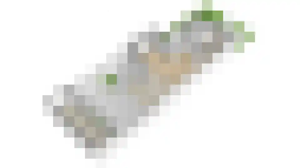Eerste Oosterparklaan 138 Utrecht thumbnail 65