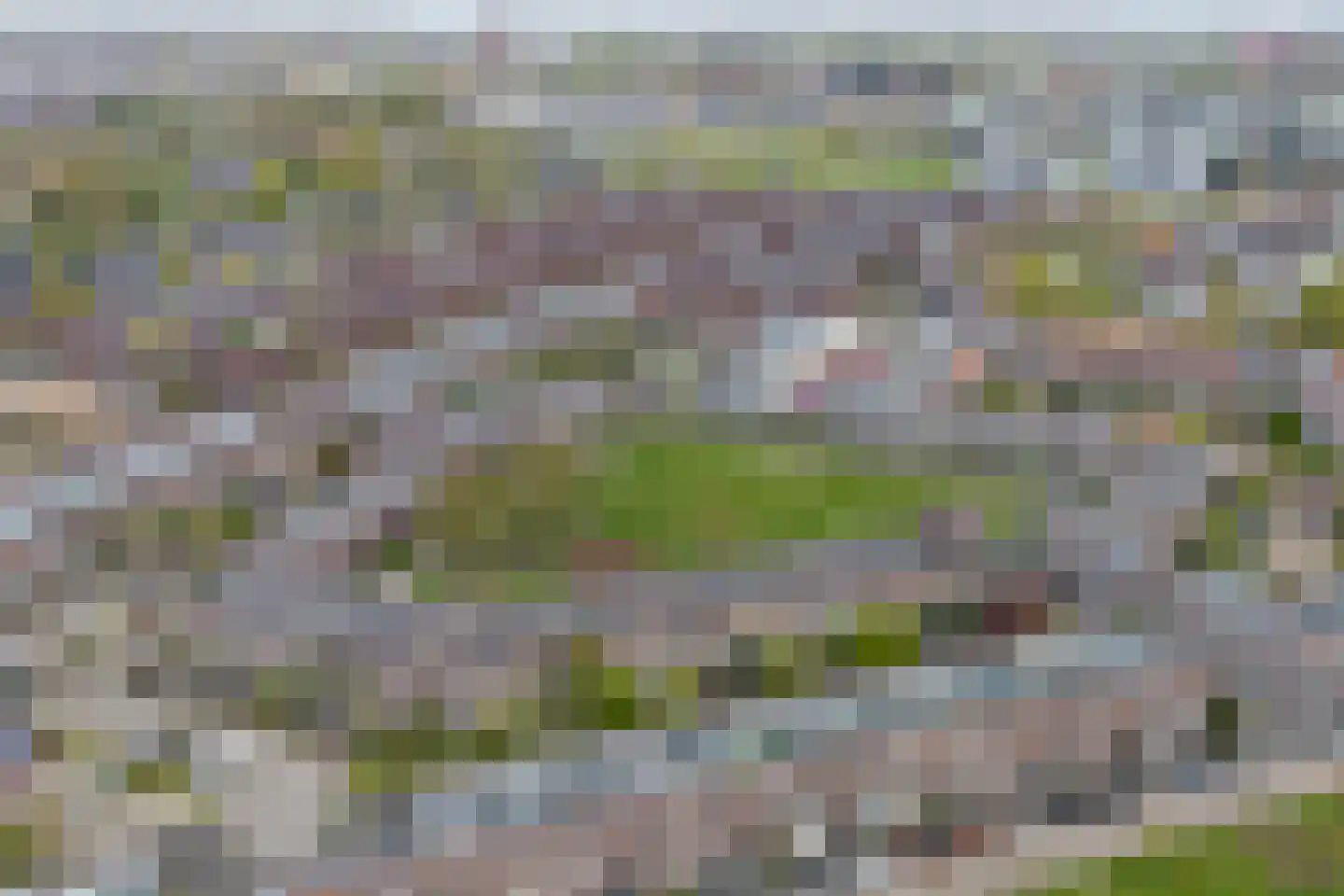 Eerste Oosterparklaan 82 C Utrecht thumbnail 49