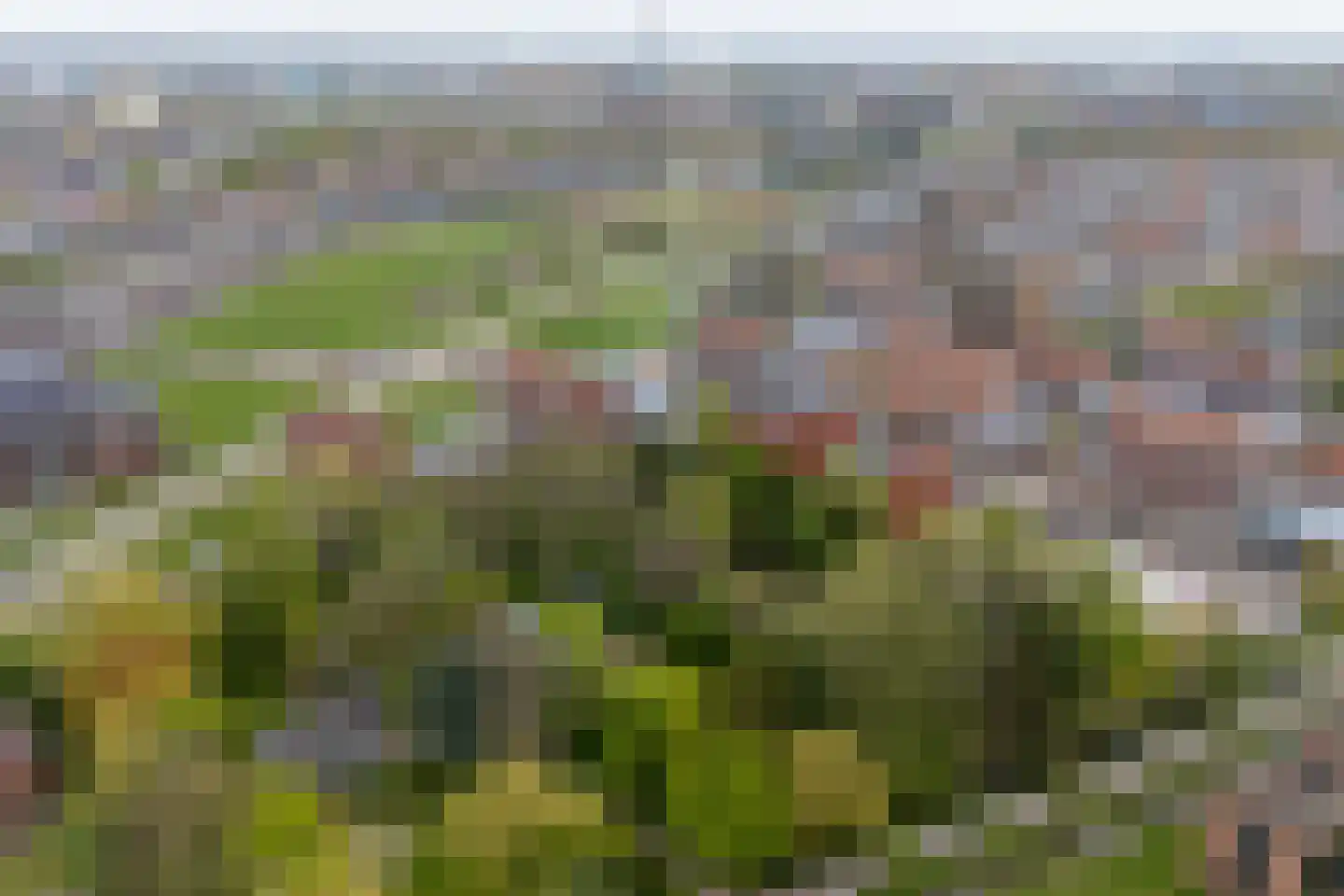 Eerste Oosterparklaan 82 C Utrecht thumbnail 54