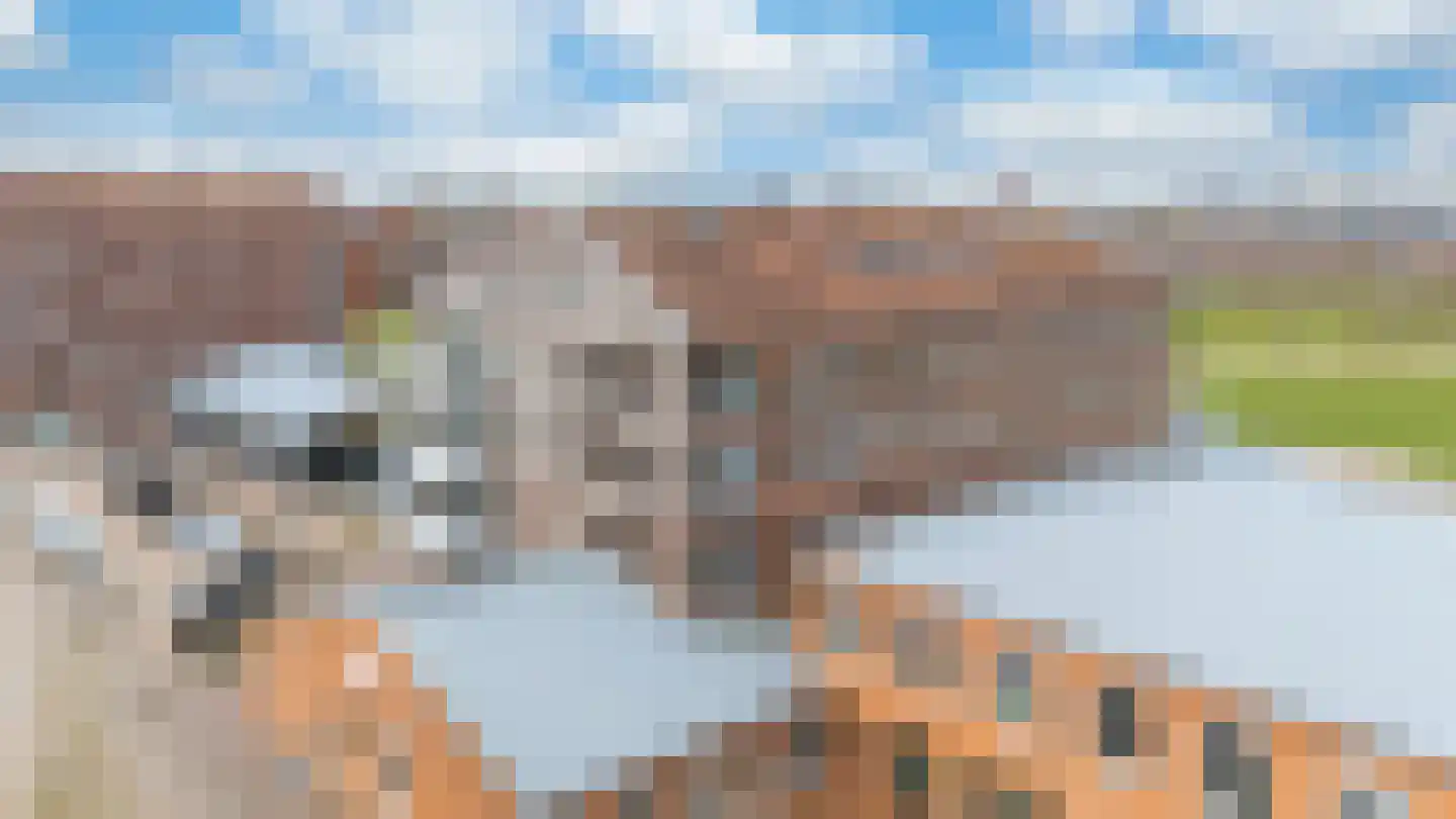 Eerste Oosterparklaan 84 C Utrecht thumbnail 41