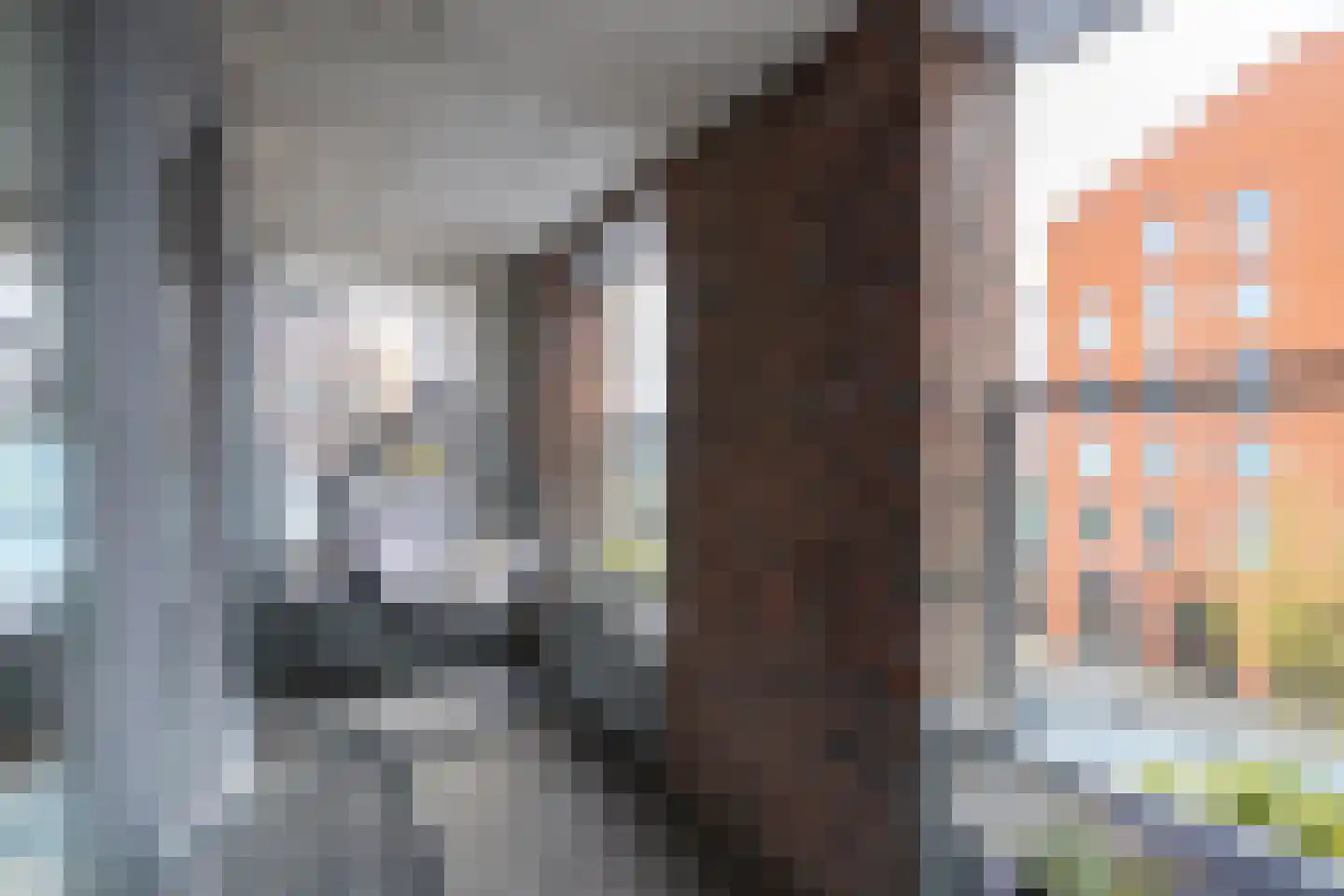 Eerste Oosterparklaan 84 E Utrecht thumbnail 4