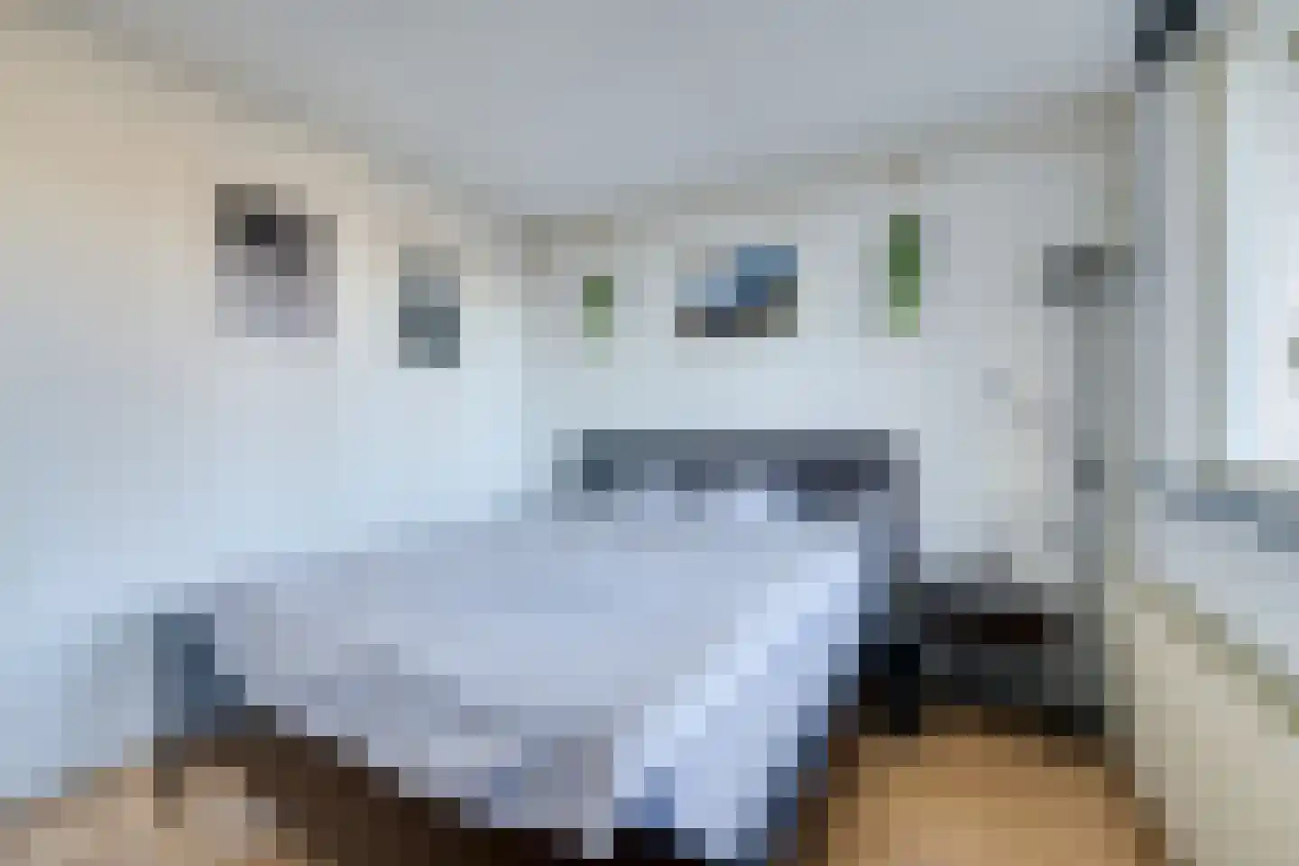 Eerste Oosterparkstraat 109 C Amsterdam thumbnail 34