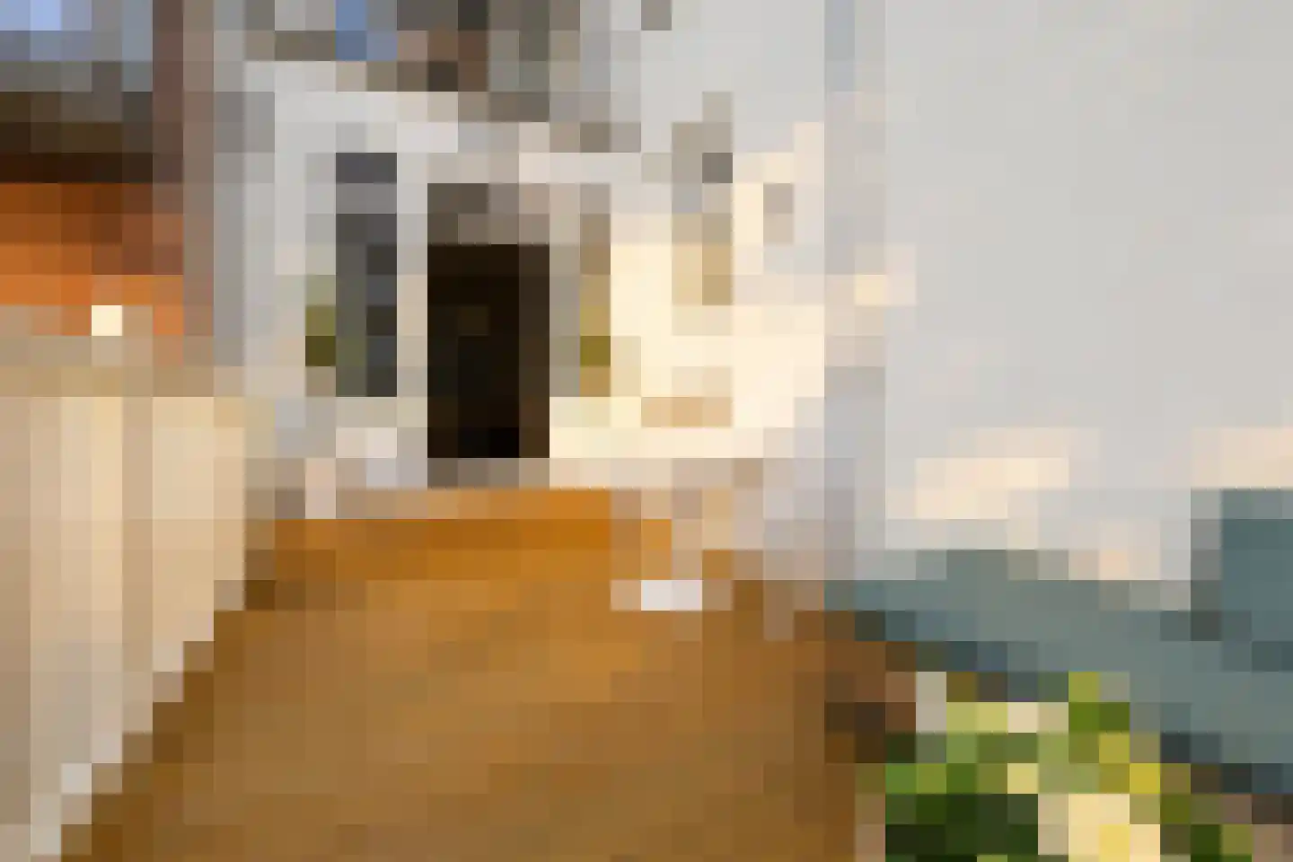 Eerste Oosterparkstraat 11 3 Amsterdam thumbnail 17