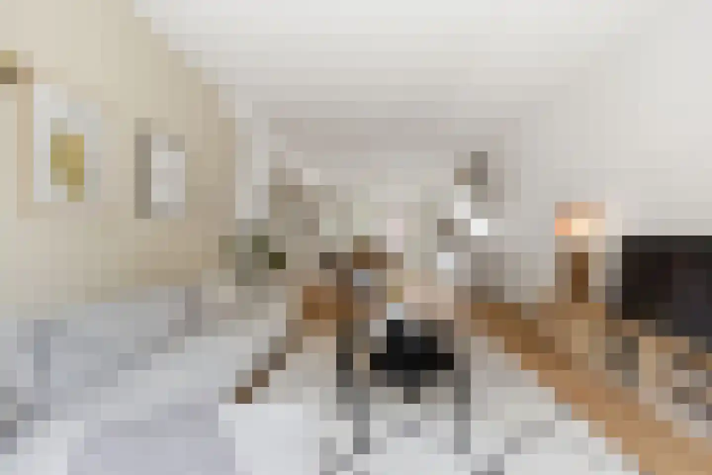 Eerste Oosterparkstraat 11 3 Amsterdam thumbnail 7
