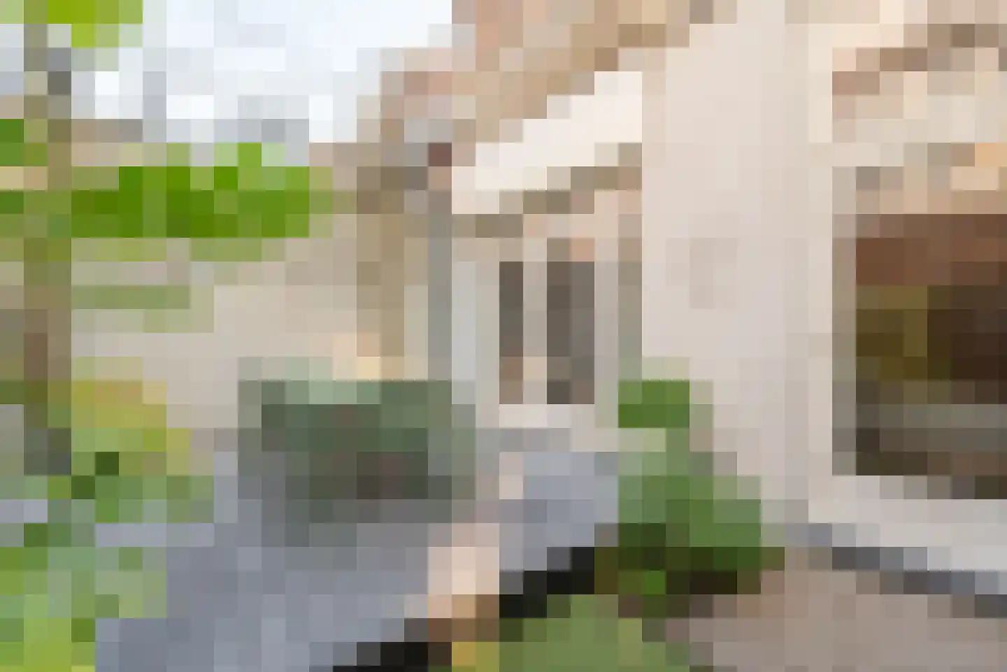 Eerste Oosterparkstraat 11 H Amsterdam thumbnail 25