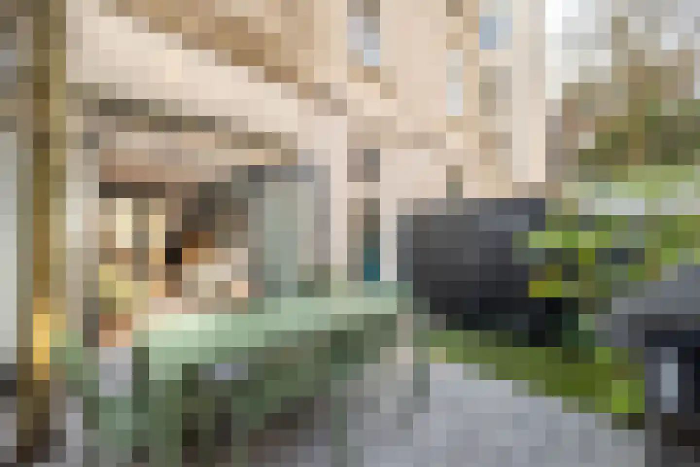 Eerste Oosterparkstraat 11 H Amsterdam thumbnail 26