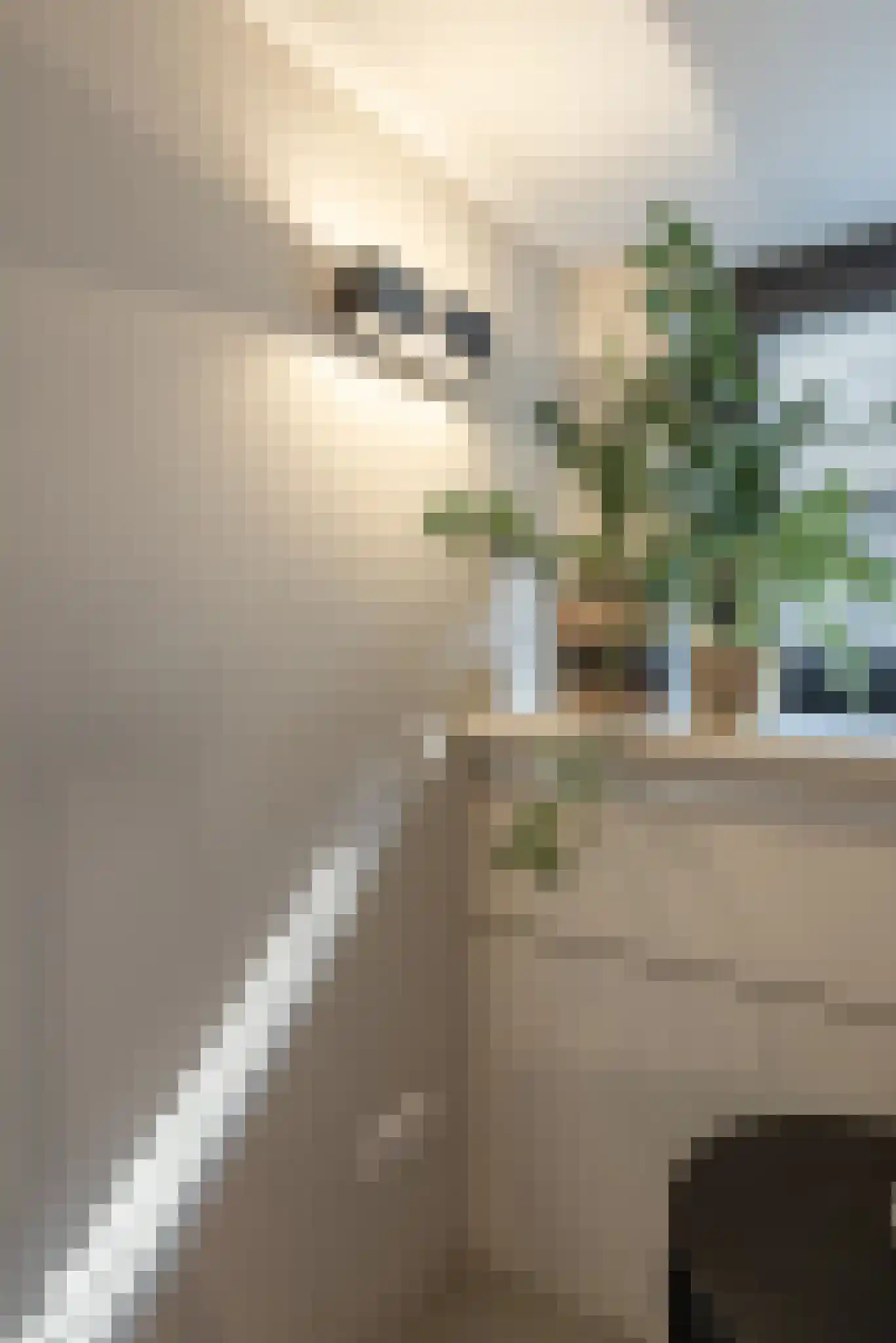 Eerste Oosterparkstraat 11 H Amsterdam thumbnail 42