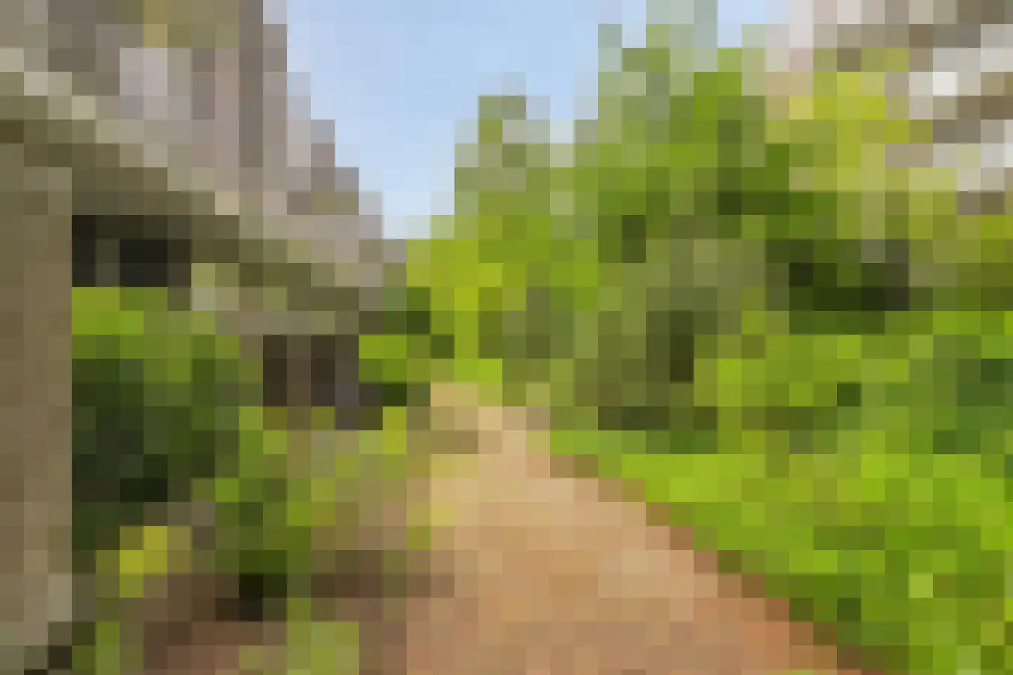 Eerste Oosterparkstraat 141 E Amsterdam thumbnail 31