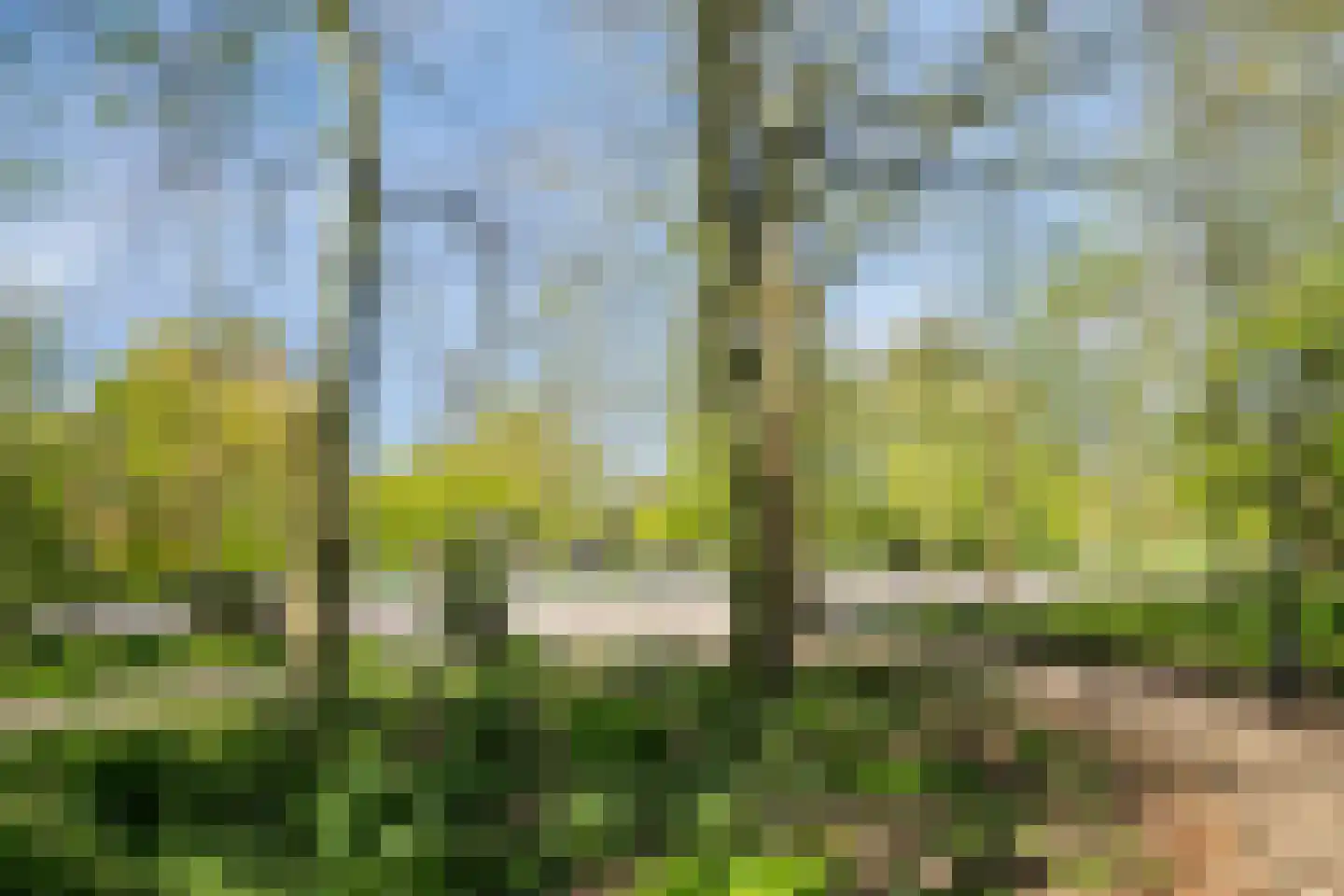 Eerste Oosterparkstraat 141 E Amsterdam thumbnail 35
