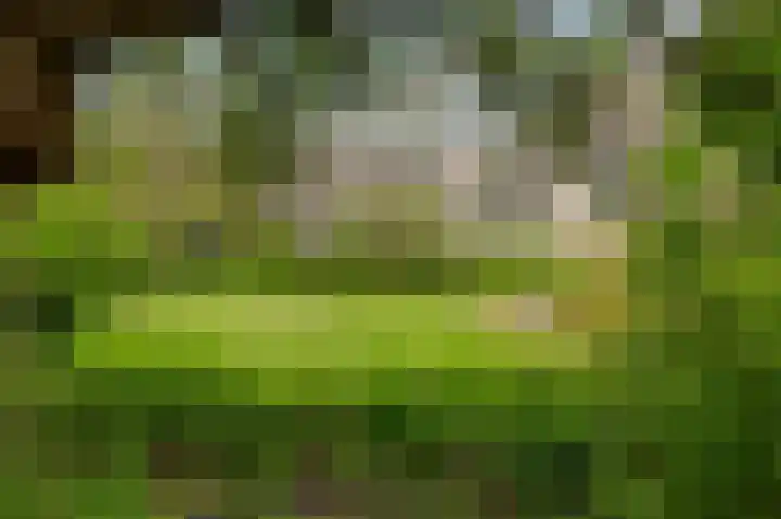 Eerste Oosterparkstraat 162 K Amsterdam thumbnail 19