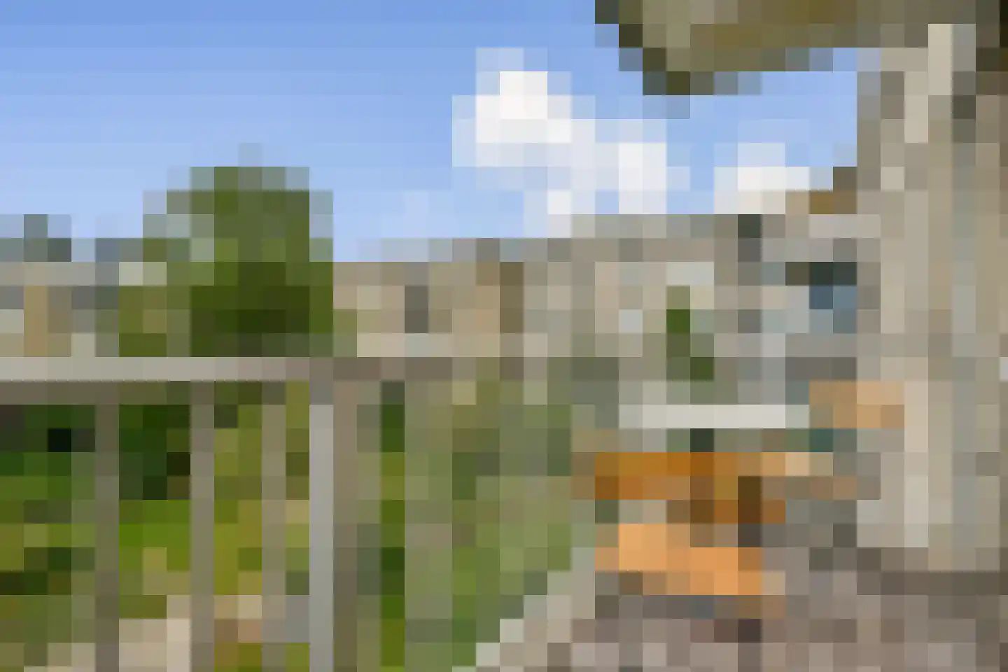 Eerste Oosterparkstraat 168 D Amsterdam thumbnail 4