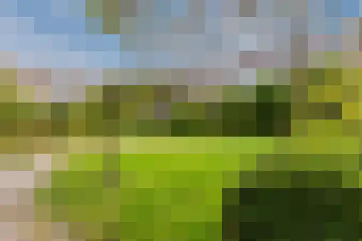 Eerste Oosterparkstraat 174 H Amsterdam thumbnail 27