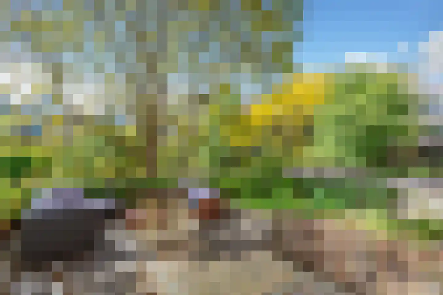 Eerste Oosterparkstraat 212 Amsterdam thumbnail 23