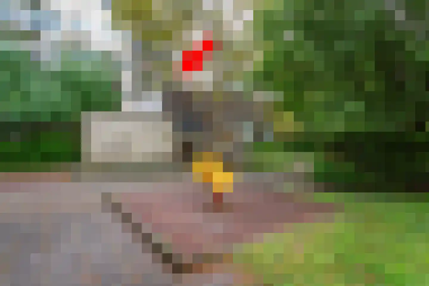 Eerste Oosterparkstraat 212 Amsterdam thumbnail 25