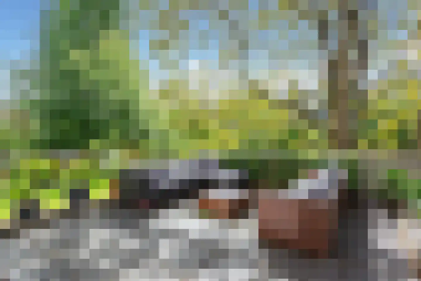 Eerste Oosterparkstraat 212 Amsterdam thumbnail 26