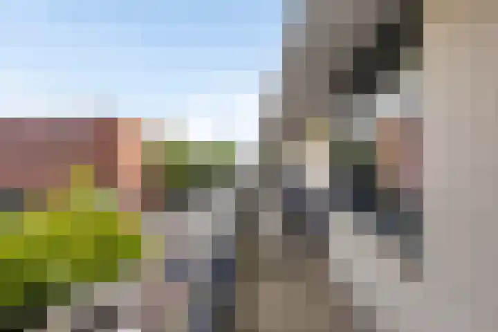 Eerste Oosterparkstraat 292 Amsterdam thumbnail 25