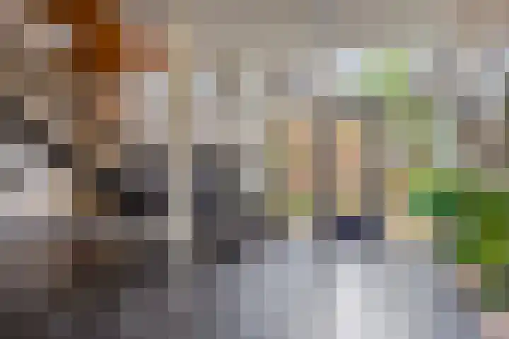 Eerste Oosterparkstraat 292 Amsterdam thumbnail 27