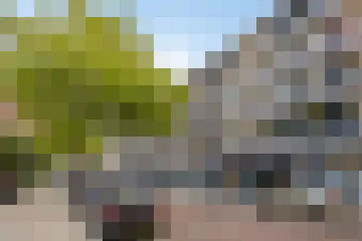 Eerste Oosterparkstraat 292 Amsterdam thumbnail 28
