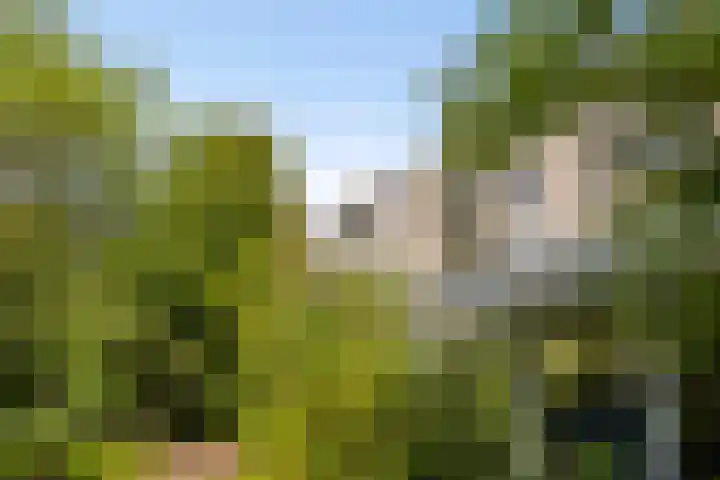 Eerste Oosterparkstraat 292 Amsterdam thumbnail 29
