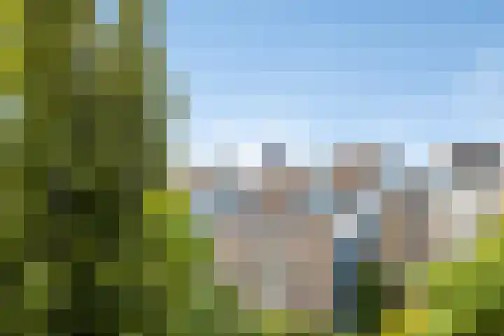 Eerste Oosterparkstraat 292 Amsterdam thumbnail 31