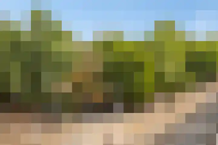 Eerste Oosterparkstraat 292 Amsterdam thumbnail 32