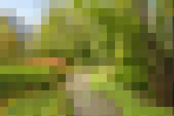 Eerste Oosterparkstraat 292 Amsterdam thumbnail 33