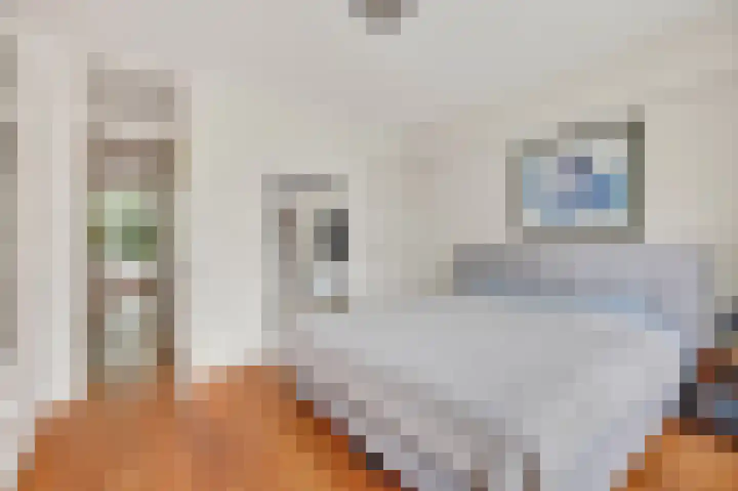Eerste Oosterparkstraat 39 1 Amsterdam thumbnail 12