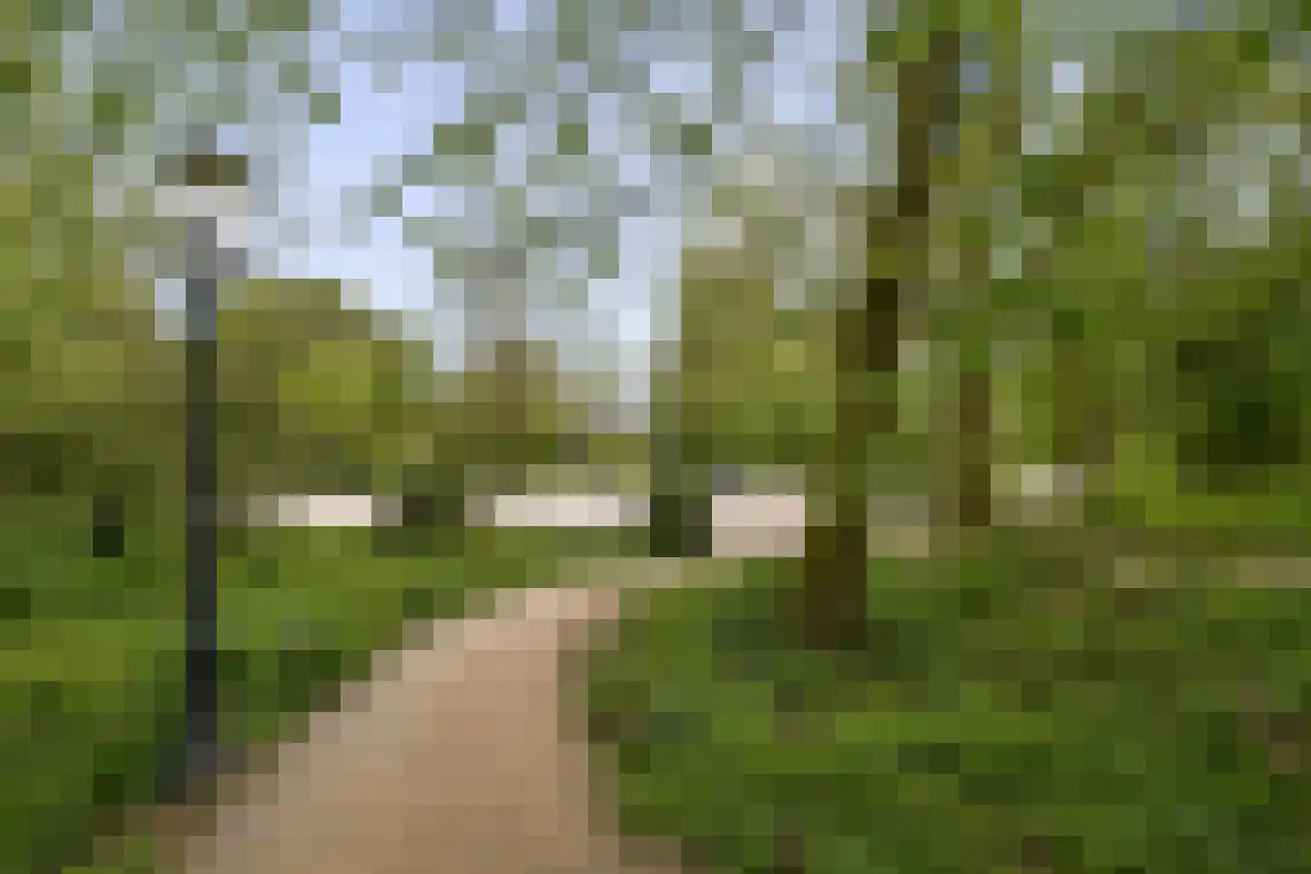 Eerste Oosterparkstraat 65 1 Amsterdam thumbnail 16