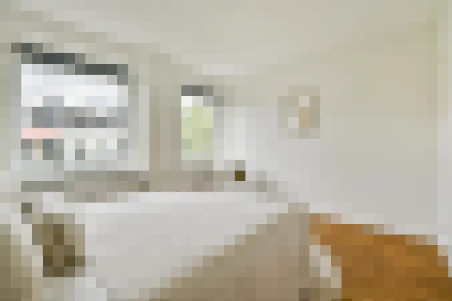 Eerste Oosterparkstraat 97 4 Amsterdam thumbnail 17