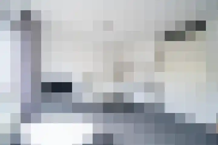 Eerste Oude Heselaan 142 Nijmegen thumbnail 14