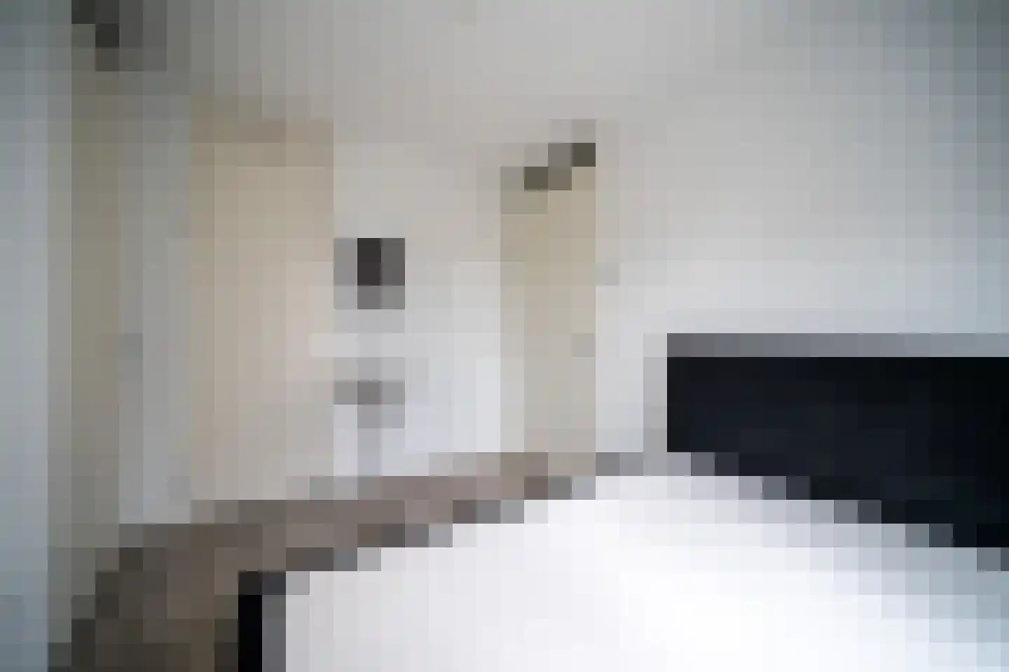 Eerste Oude Heselaan 150 Nijmegen thumbnail 13