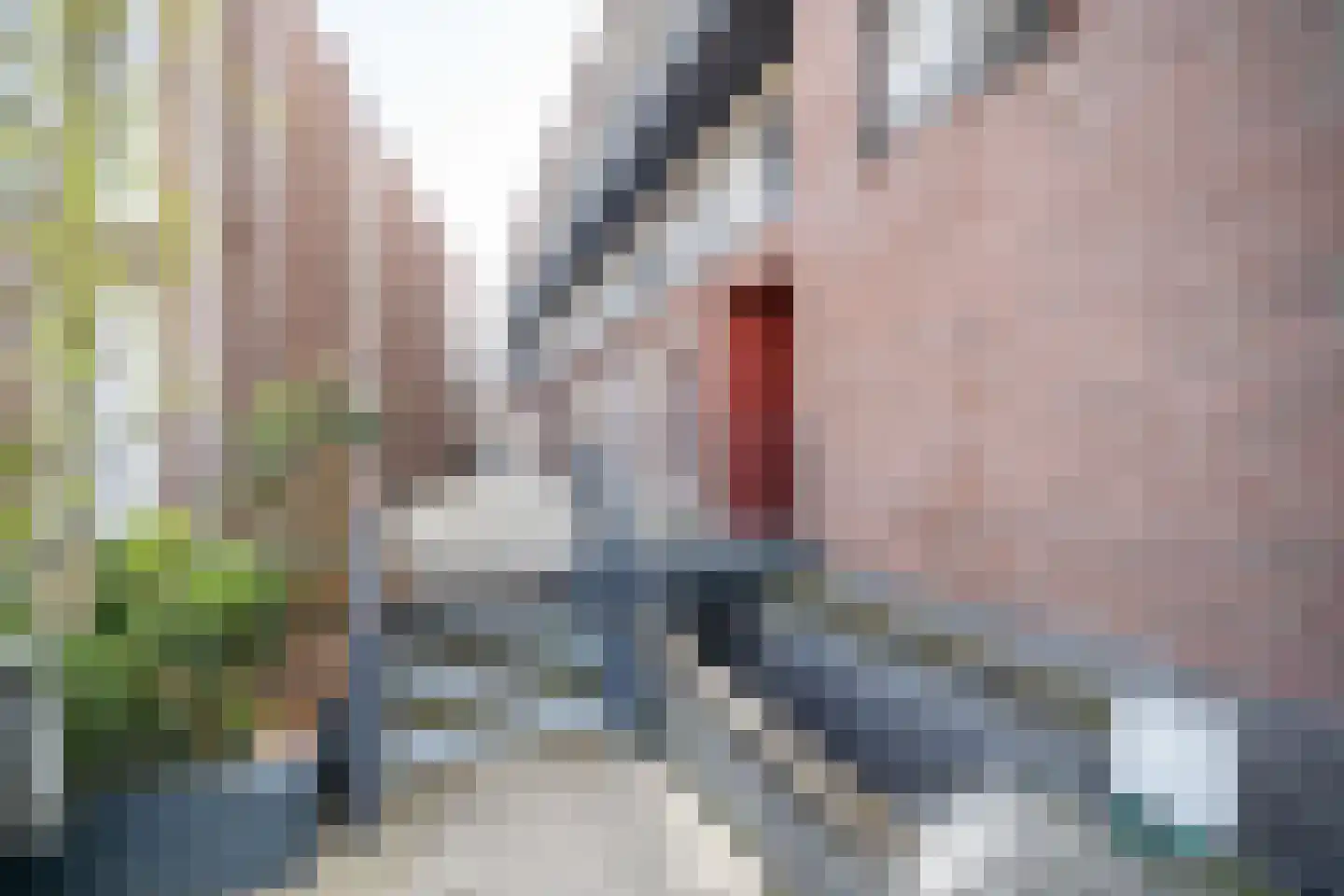 Eerste Oude Heselaan 152 Nijmegen thumbnail 4