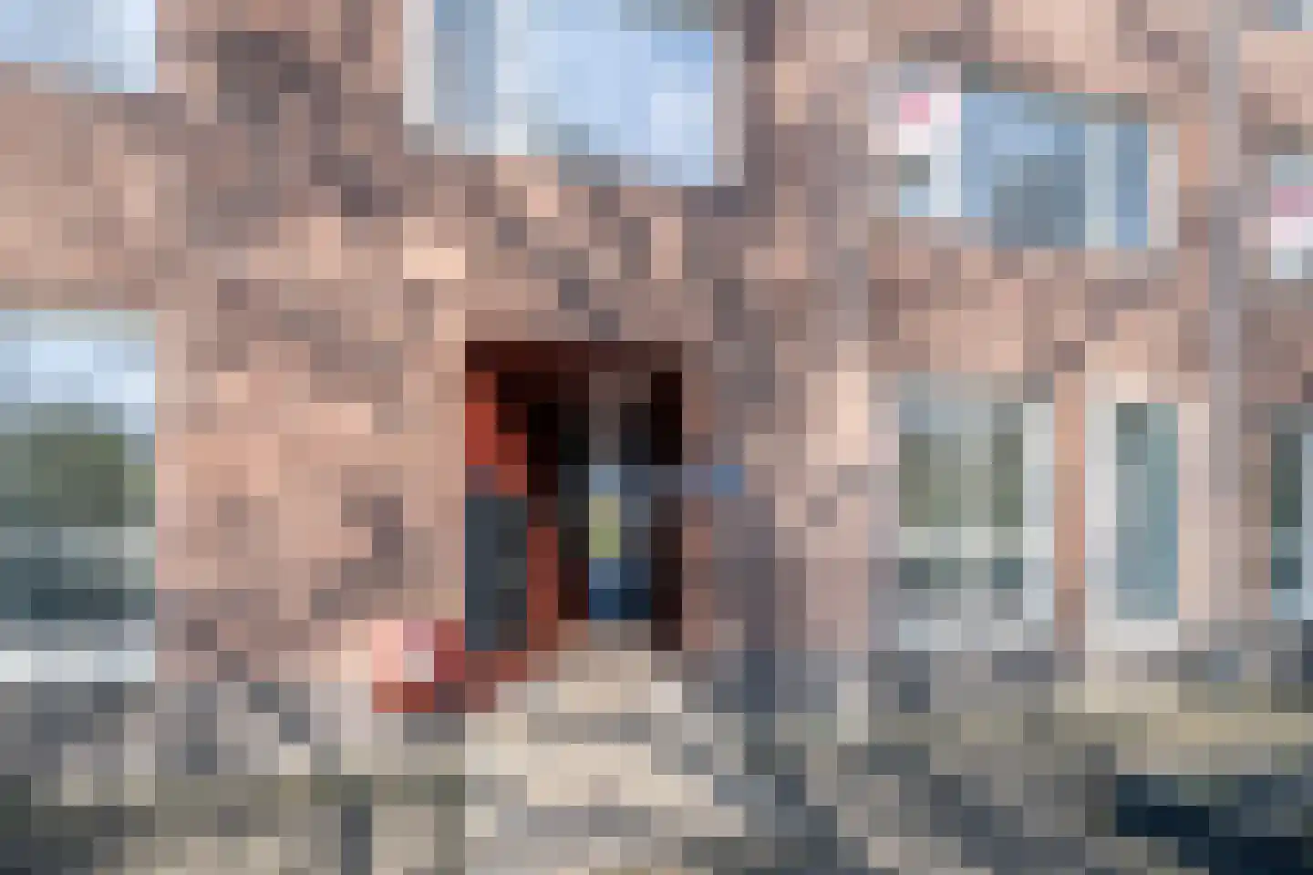 Eerste Oude Heselaan 152 Nijmegen thumbnail 5