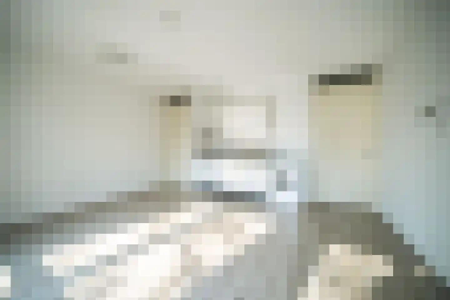 Eerste Oude Heselaan 152 Nijmegen thumbnail 8