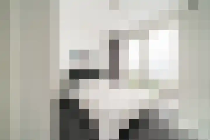 Eerste Oude Heselaan 156 A Nijmegen thumbnail 12