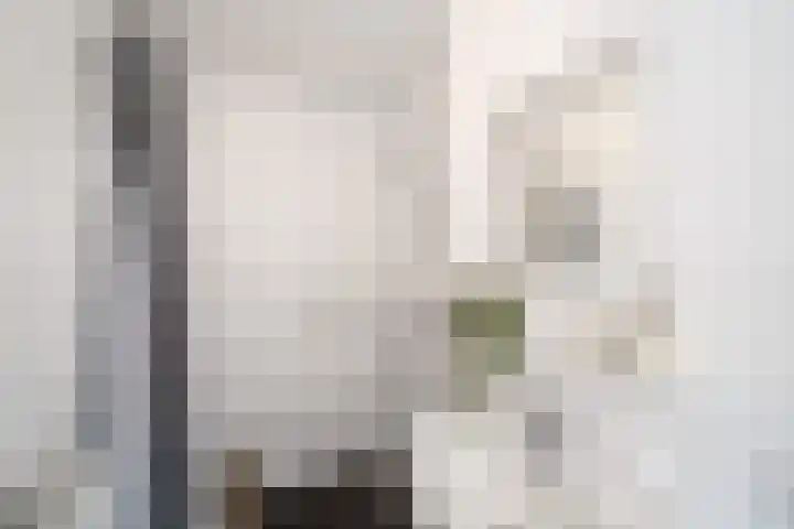 Eerste Oude Heselaan 156 A Nijmegen thumbnail 14