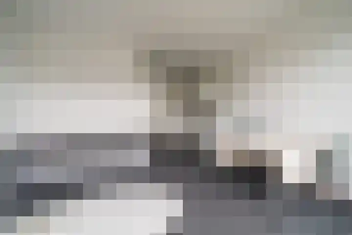 Eerste Oude Heselaan 158 A Nijmegen thumbnail 9