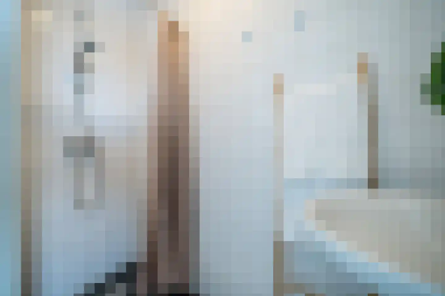 Eerste Oude Heselaan 162 Nijmegen thumbnail 10